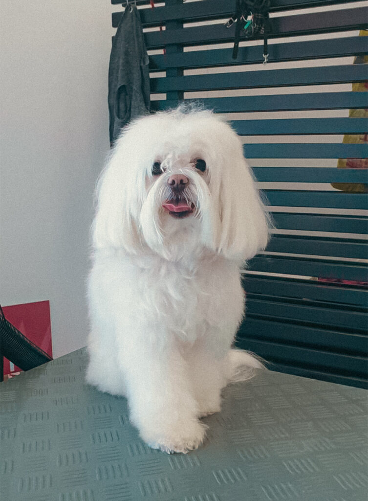 Vorher